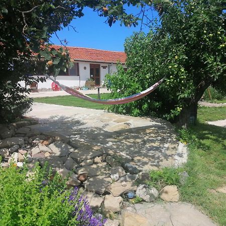 Vezenkovo Calla Retreat מראה חיצוני תמונה