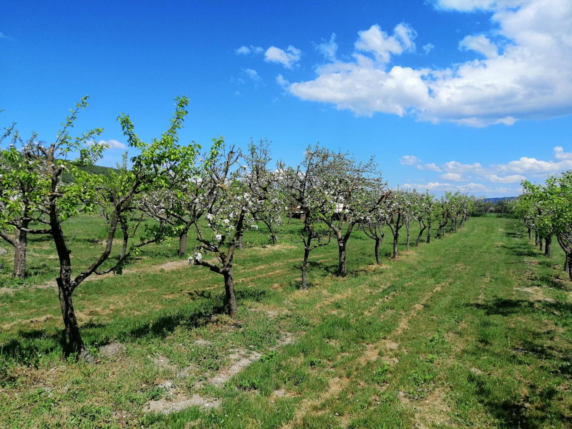 Vezenkovo Calla Retreat מראה חיצוני תמונה