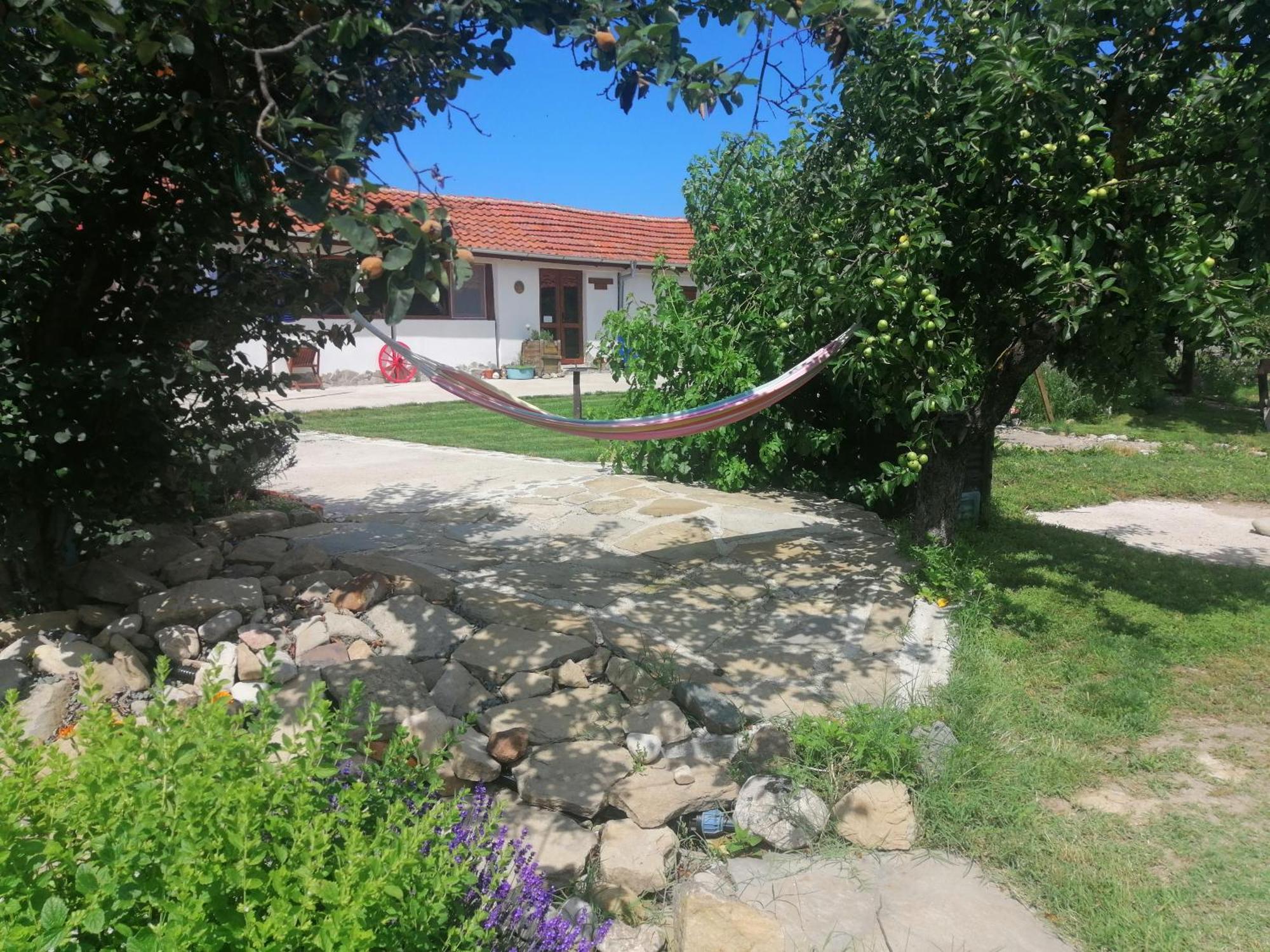 Vezenkovo Calla Retreat מראה חיצוני תמונה