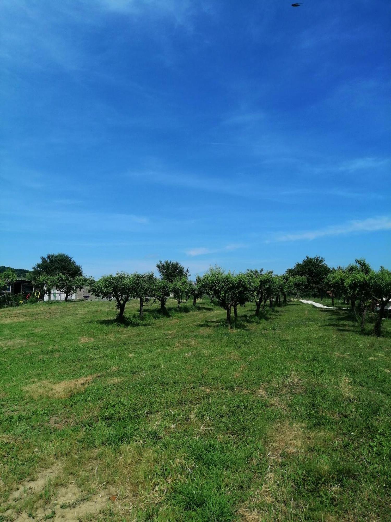 Vezenkovo Calla Retreat מראה חיצוני תמונה